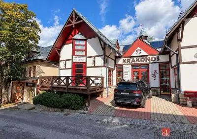 Pronájem, komerční/obchodní prostory, 55 m2, 54351 Špindlerů