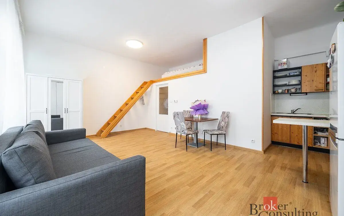 Prodej, byty/1+kk, 30 m2, Rokycanova 983/8, 13000 Praha, Hla