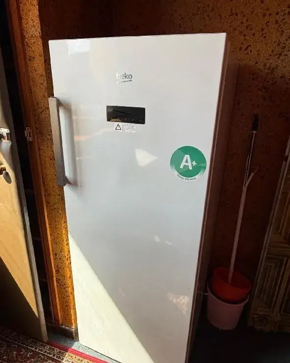 Mraznička typ Beko RFNE270E33WN