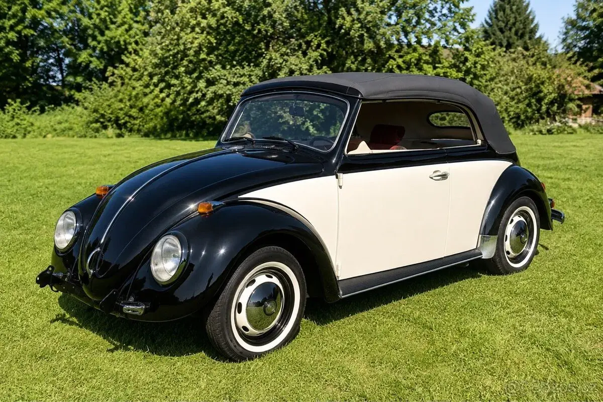 Volkswagen Brouk