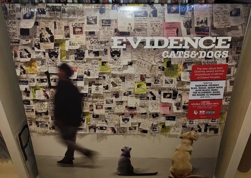 Evidence - Cats & Dogs 2LP