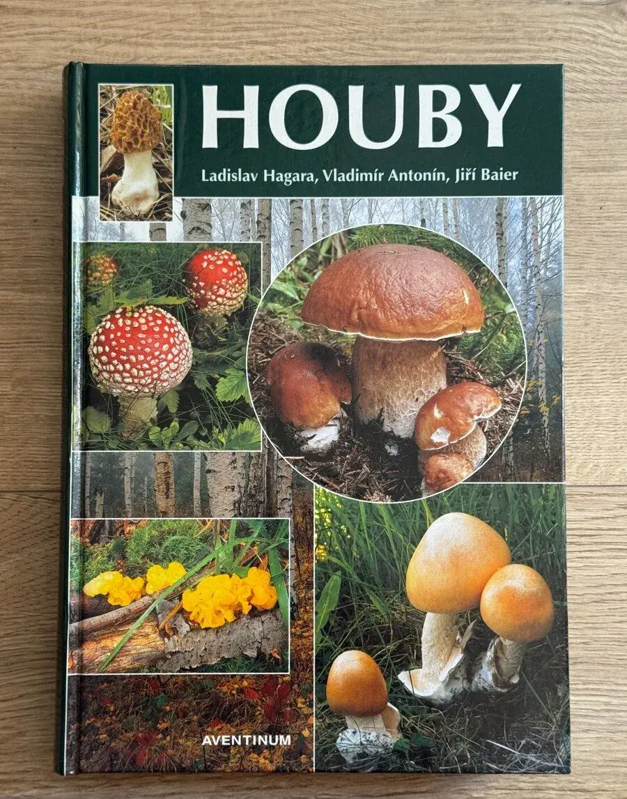 Kniha Houby - Ladislav Hagara - 1999 - 416 stran