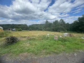 Prodej zahrady 2 000 m², Arnoltice.