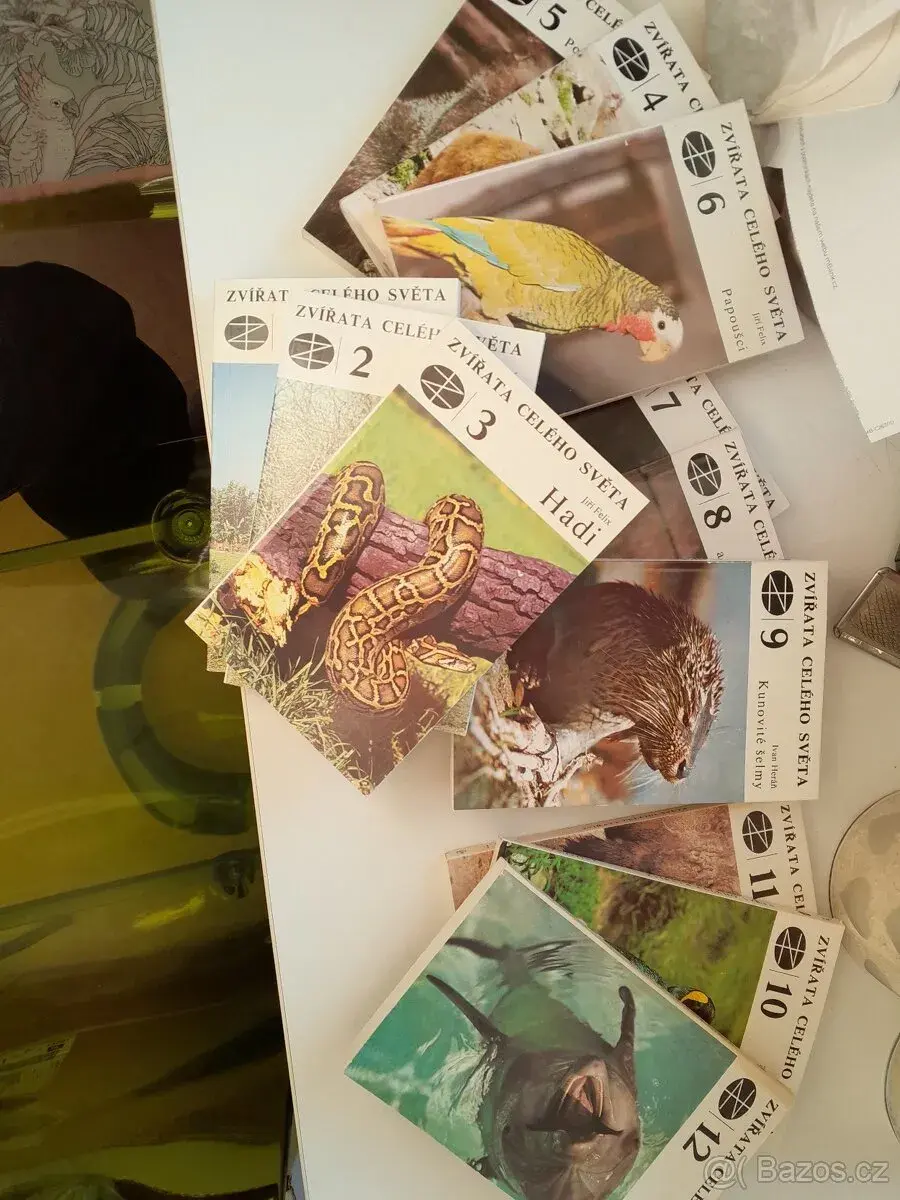 Zvířata celého světa