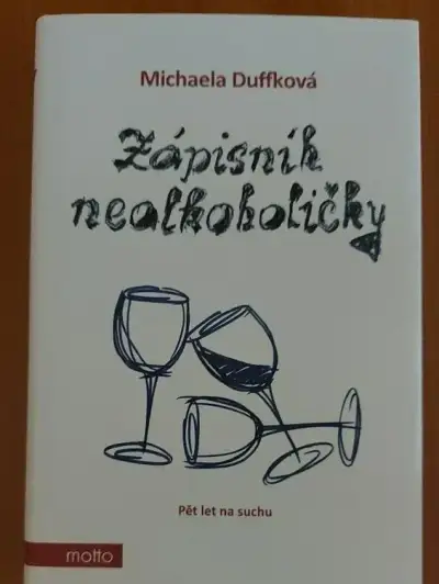 Zápisník nealkoholičky - Michaela Duffková