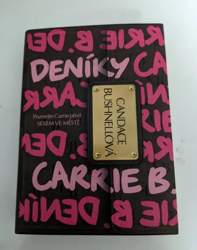 Láska mluví francouzsky, Deníky Carrie B., Ztráty a nálezy