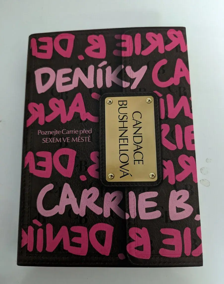 Láska mluví francouzsky, Deníky Carrie B., Ztráty a nálezy