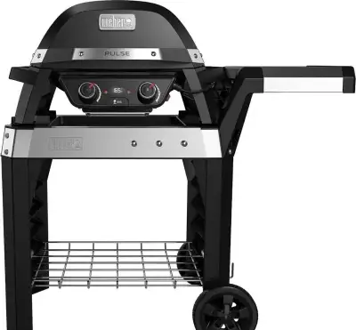 Gril weber pulse 2000