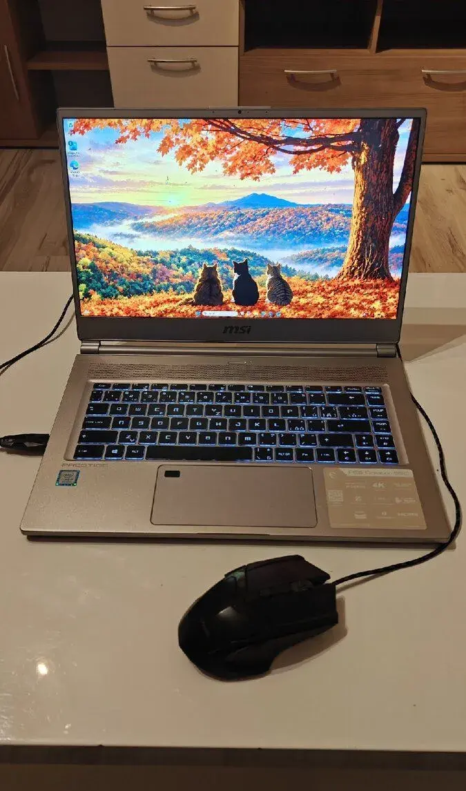 MSI P65 Creator 9SD | i7, GTX 1660 Ti, 16GB RAM, SSD