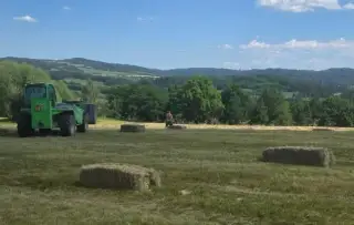 BIO LUČNÍ ŠUMAVSKÉ SENO, slisované