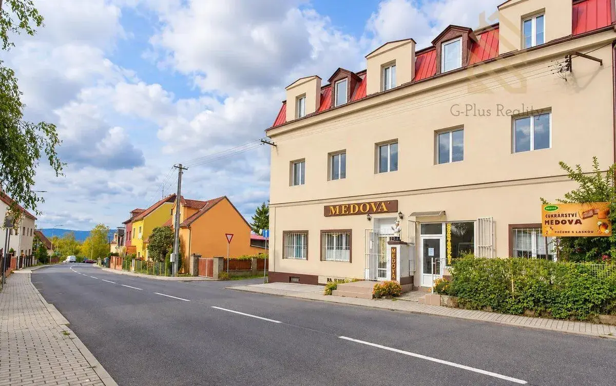 Prodej, rodinného domu 450m2, pozemek 623m2, Kostomlatská, S