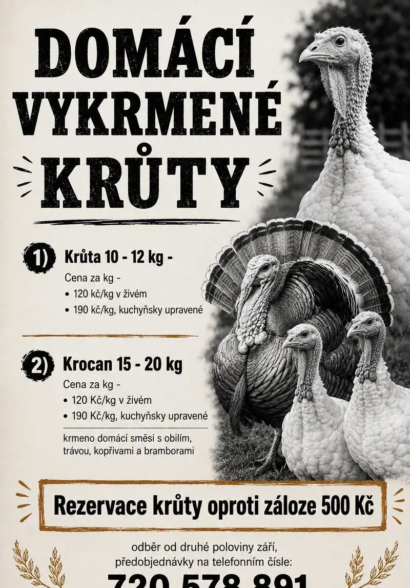 Domácí vykrmené krůty K ODBĚRU JIŽ NYNÍ