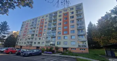 Dlouhodobý podnájem pěkného bytu 1+1, 36 m and sup2; po reko