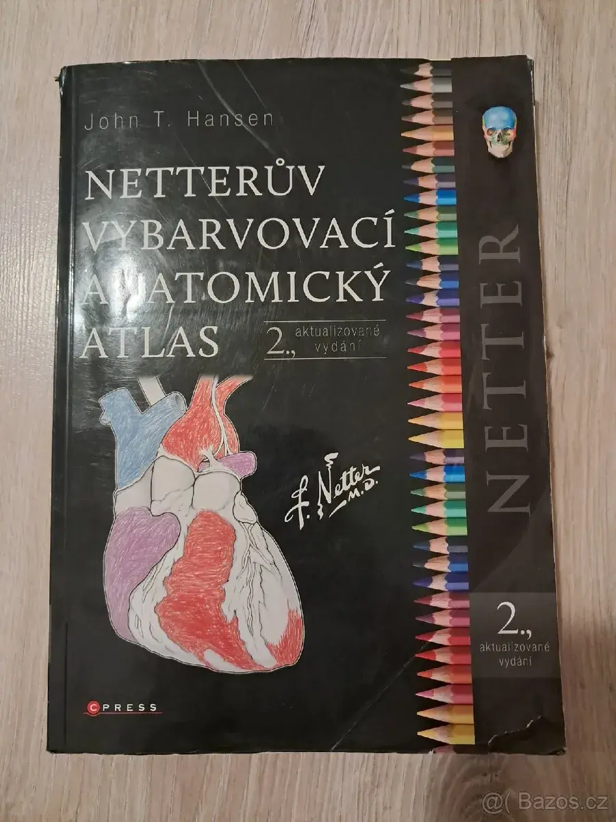 Anatomie - vybarvovací