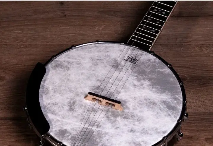 Banjo Barnes & Mulins Albert Pětistrunné