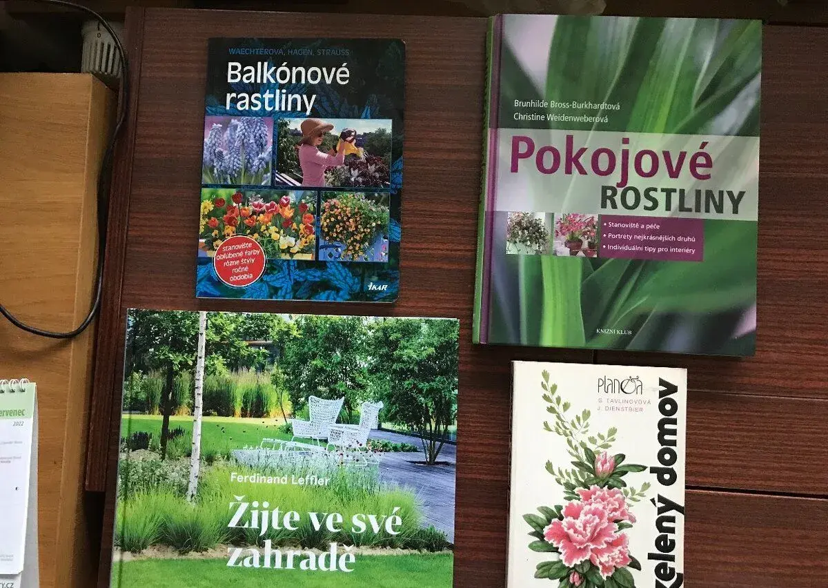 Pokojové rostliny, Balkónové rastliny,z