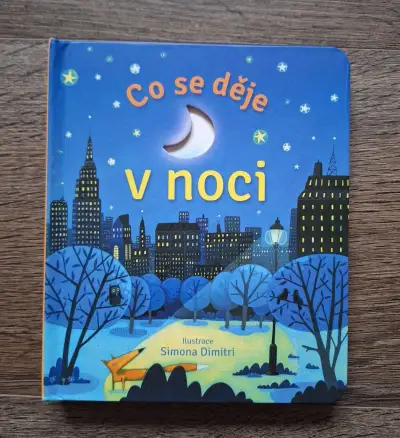 Co se děje v noci - knížka pro děti, Svojtka