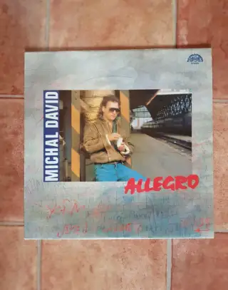 Michal David - Allegro (LP)
