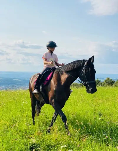 Top spolehlivá a hodná klisna