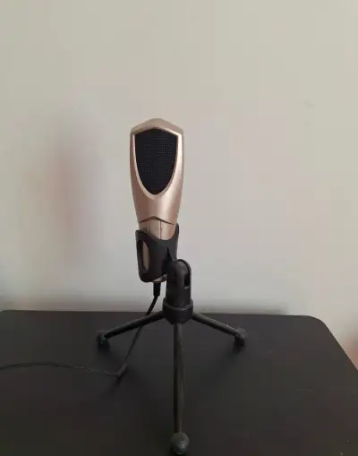 Studiový mikrofon