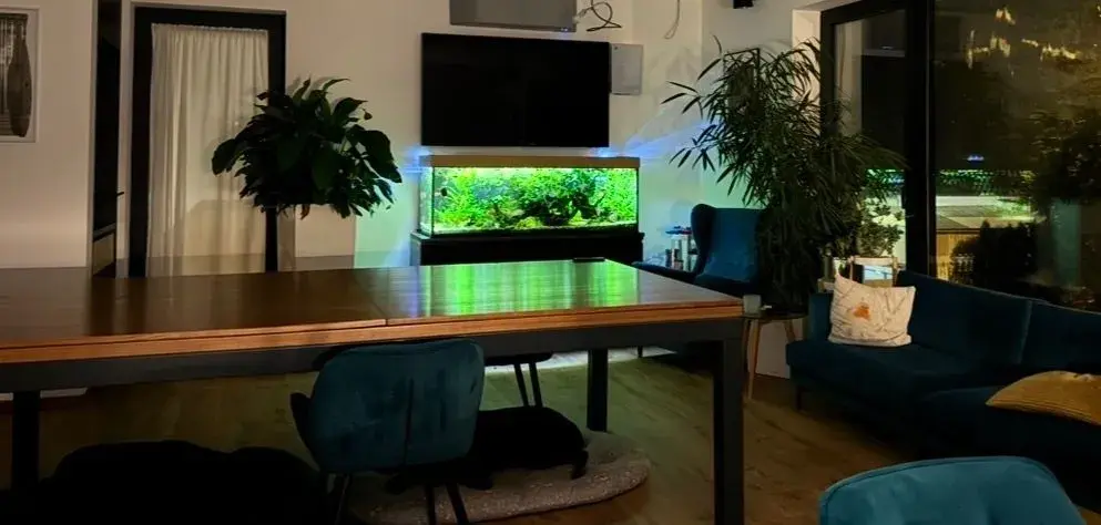 Funkční akvárium (375l) s komodami