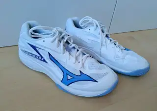 Pánská halová obuv, vel. 41., zn.Mizuno