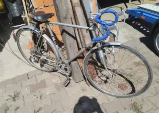 Kolo favorit
