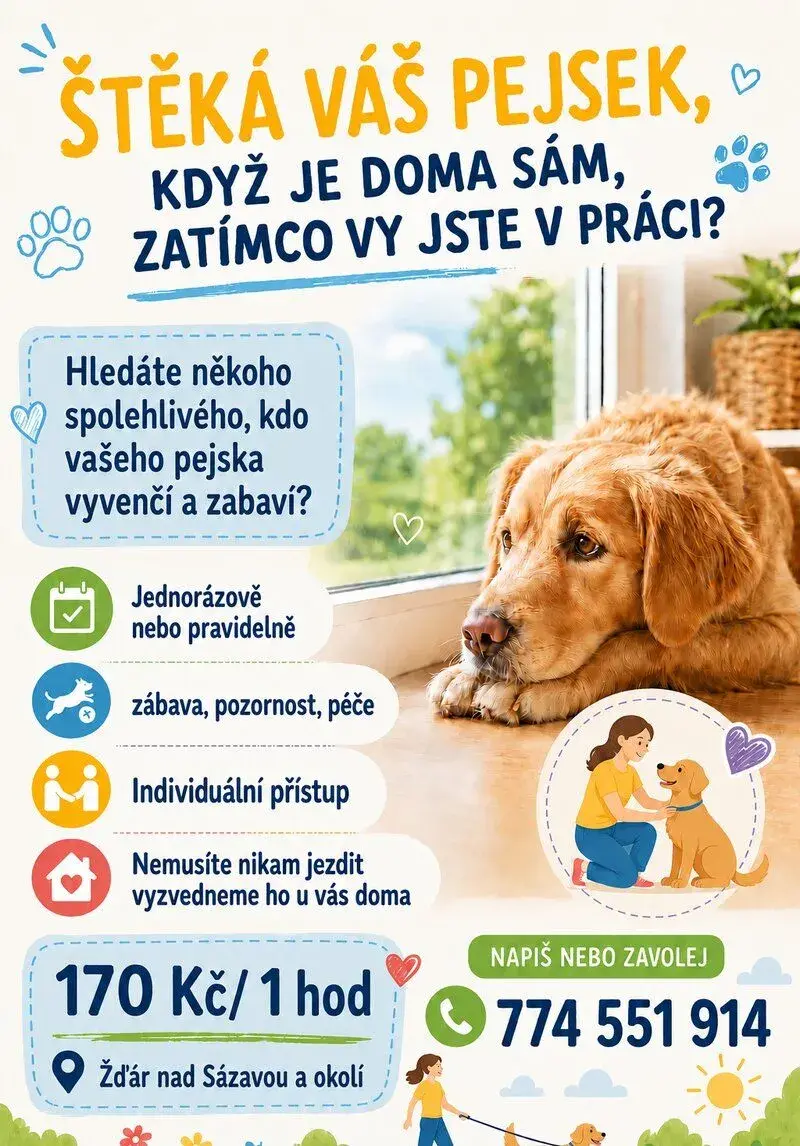 venčení psů - Žďár nad Sázavou a okolí