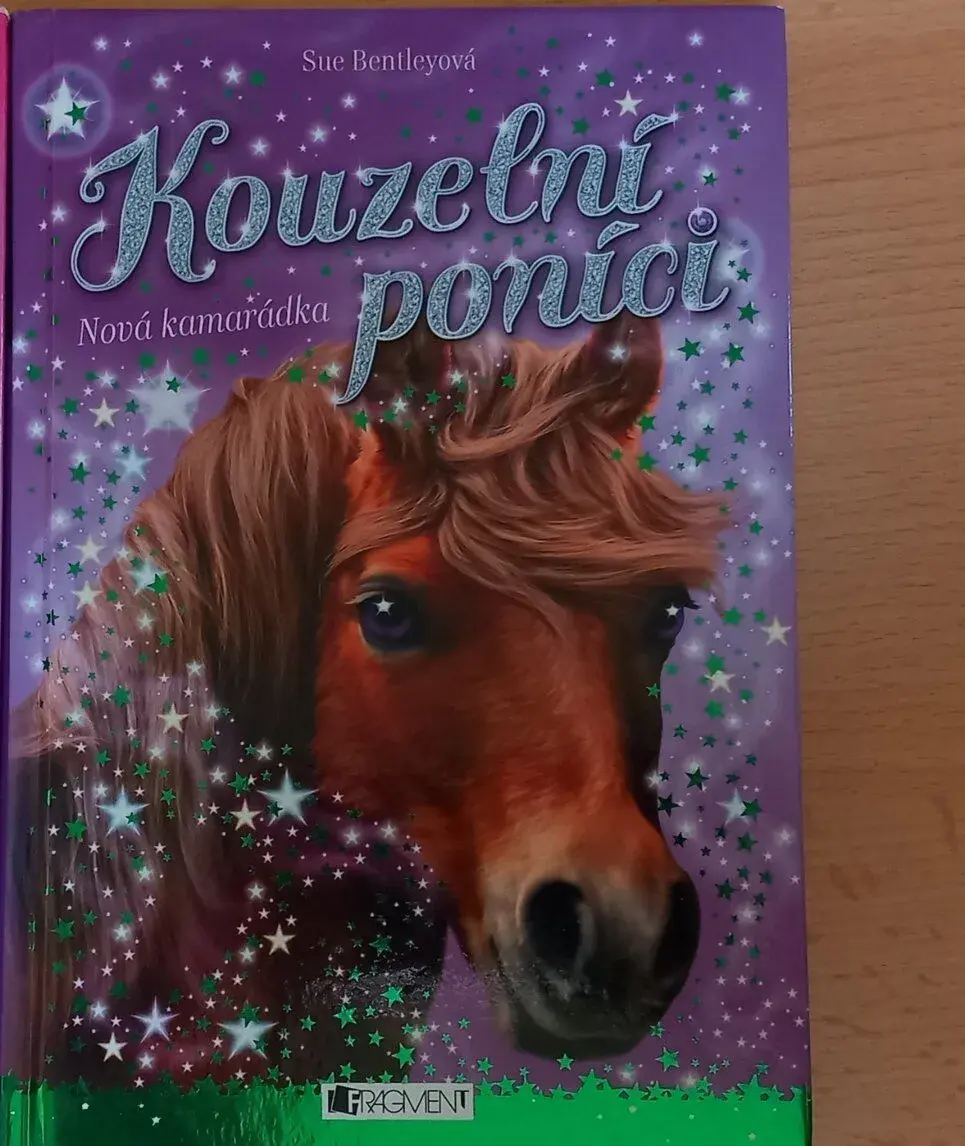 Kouzelný ponici