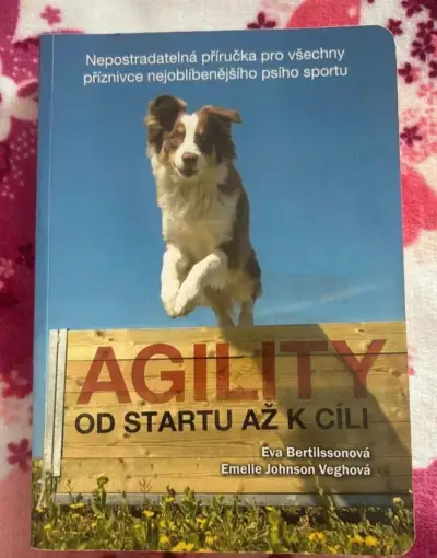 Kniha Agility od startu až k cíli
