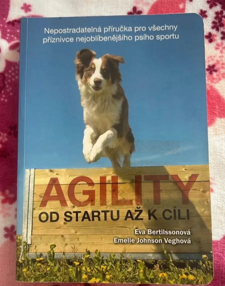 Kniha Agility od startu až k cíli