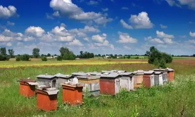 Včelařské potřeby a úly pro začátečníka
