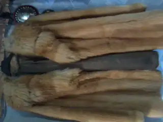 kožíšky