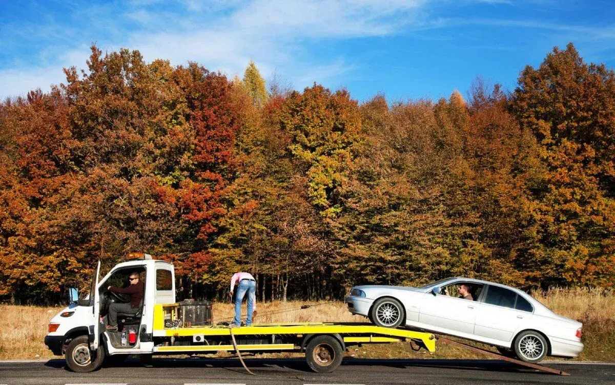 Autodoprava/Odtahová služba