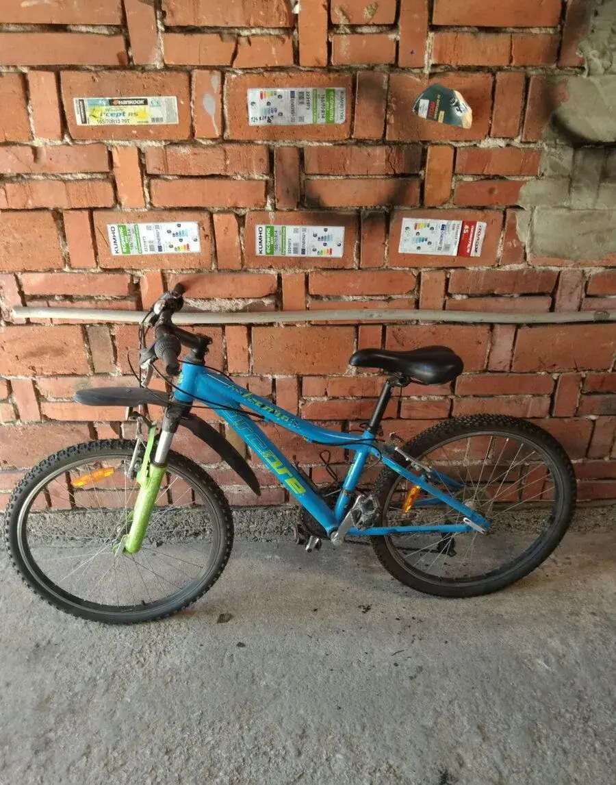kolo 24"