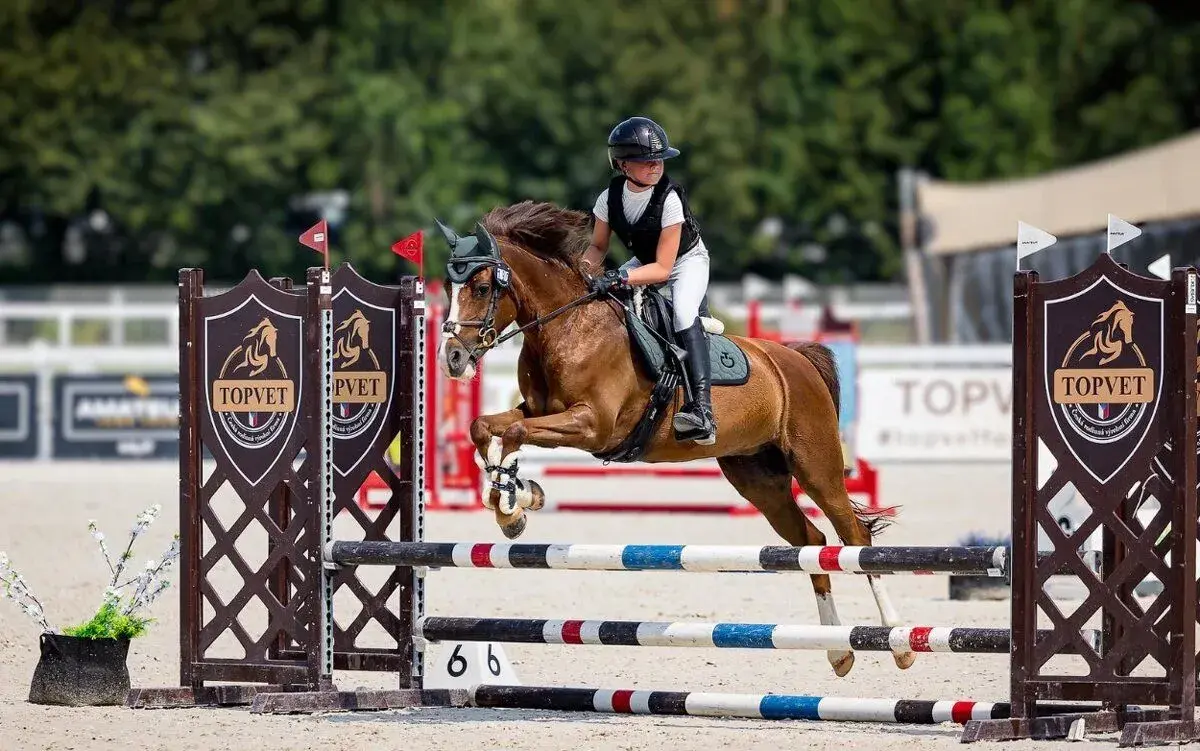 Sportovní pony Bernie – potenciál do vyššího sportu