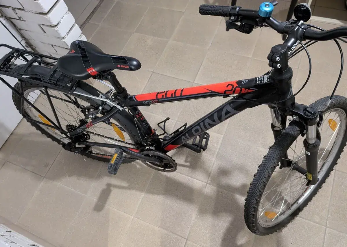Juniorské horské kolo Alpina Eco M20 XS 26"