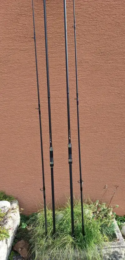 Pruty Nash Entity 12ft 3lb