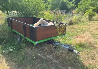 Návěs za malotraktor tří straně sklápěcí