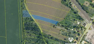 Pole 4 239 m², Podíl 33 % o výměře 1 413 m²