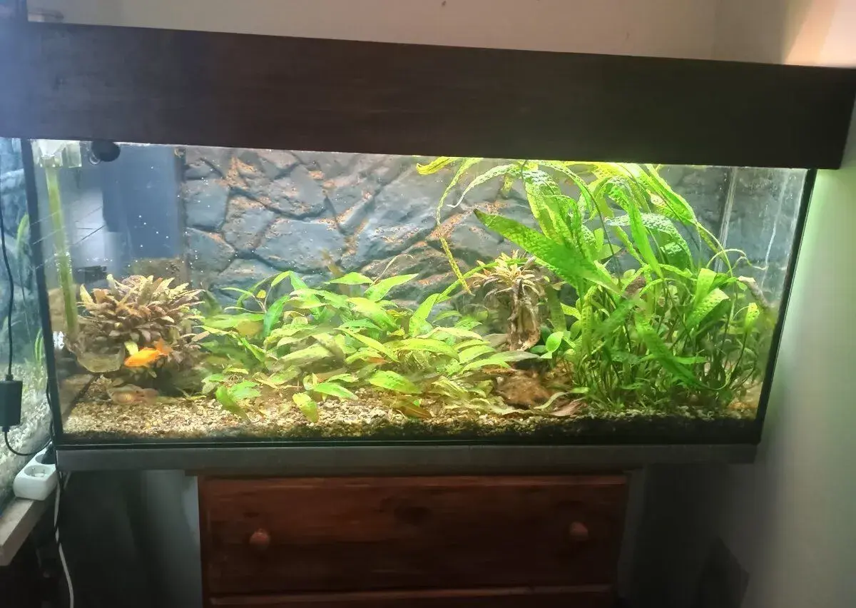 Akvárium 240 litrů 120x40x50xm