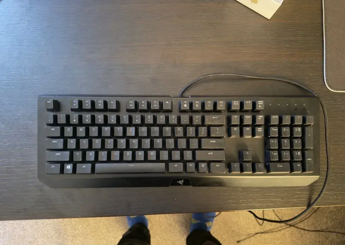 Razer Blackwidow X Chroma