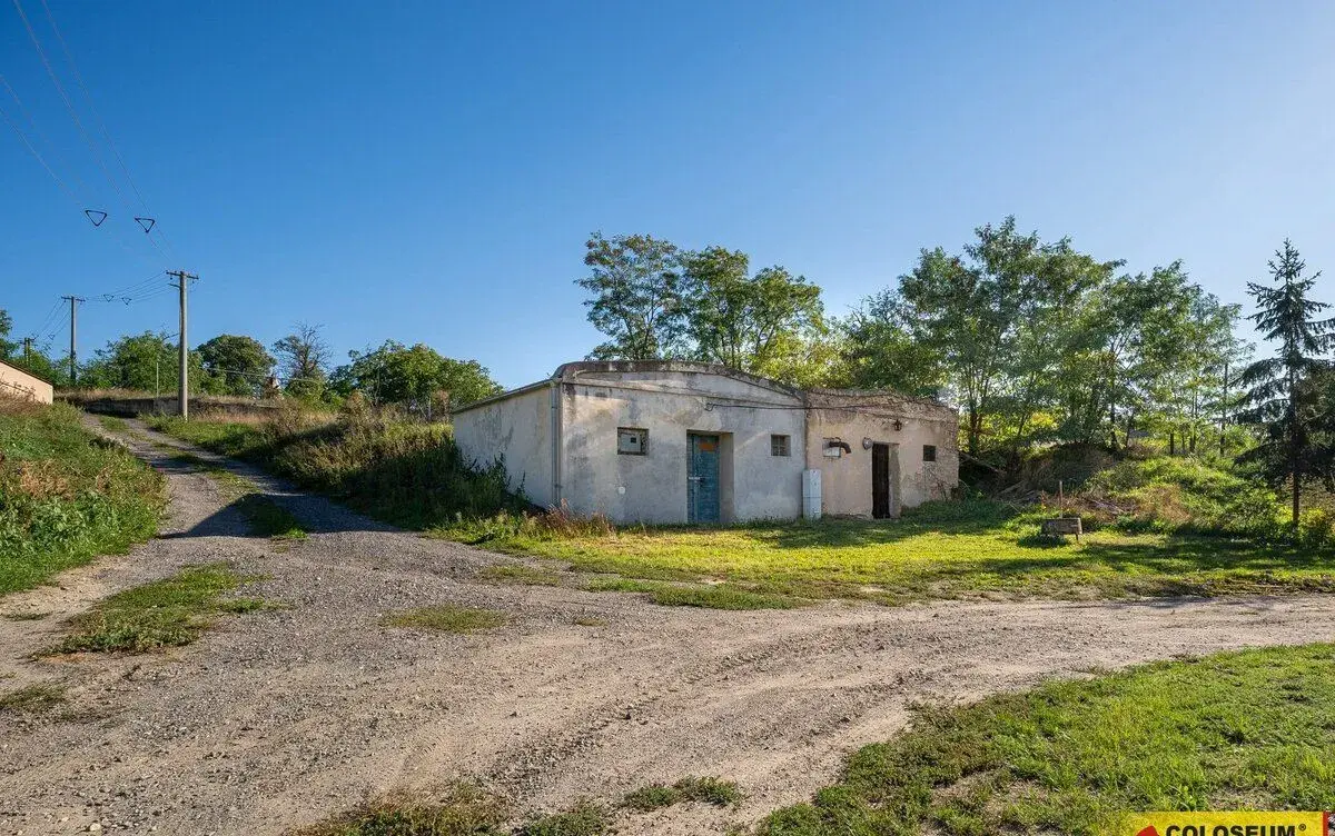 Dyjákovice, vinný sklep, 32 m², lisovna, vhodné k rekonstruk