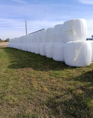 Siláž