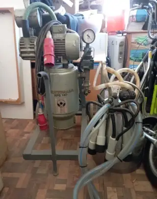 Dojení