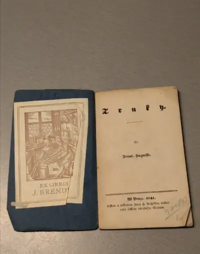 Sbírka básní Trnky František Hajniš