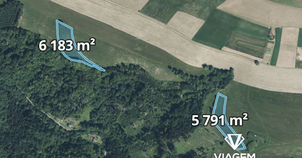 Pole 11 974 m², Podíl 17 % o výměře 1 996 m²