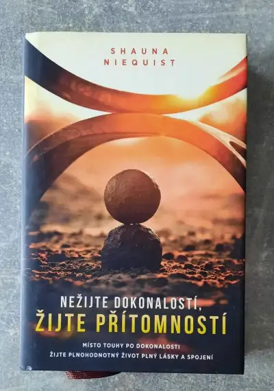 Nežijte dokonalostí, žijte přítomností - Niequist