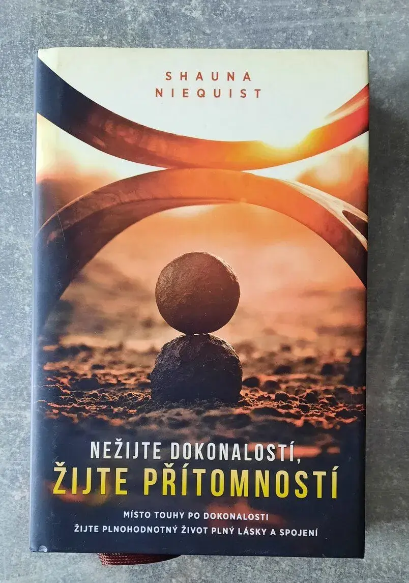 Nežijte dokonalostí, žijte přítomností - Niequist