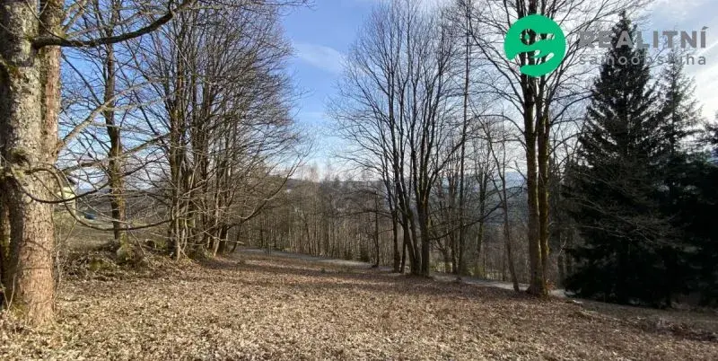Stavební pozemek 1024m2 Albrechtice